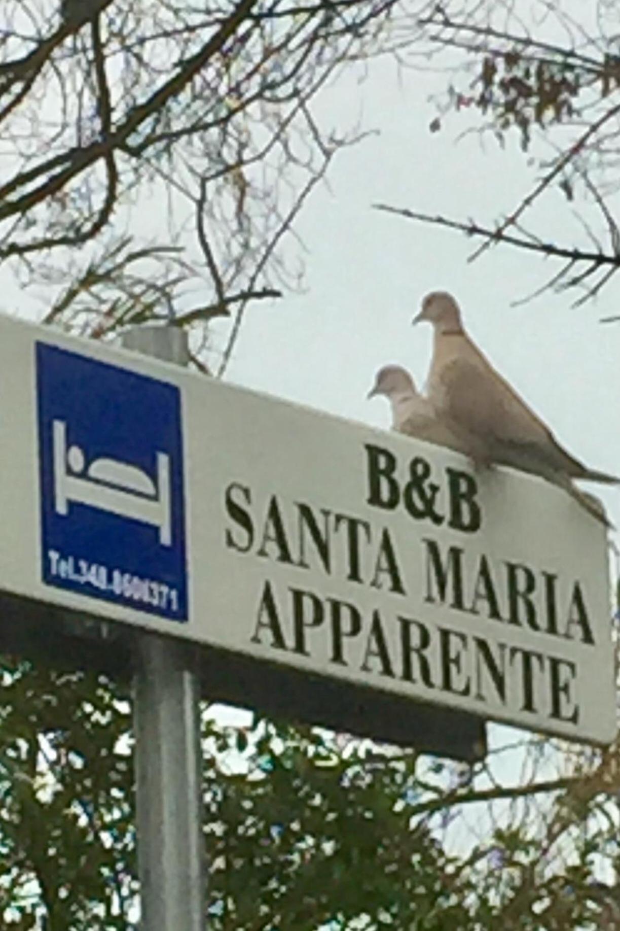 Monolocali B&B Santa Maria Apparente Civitanova Marche Exterior foto